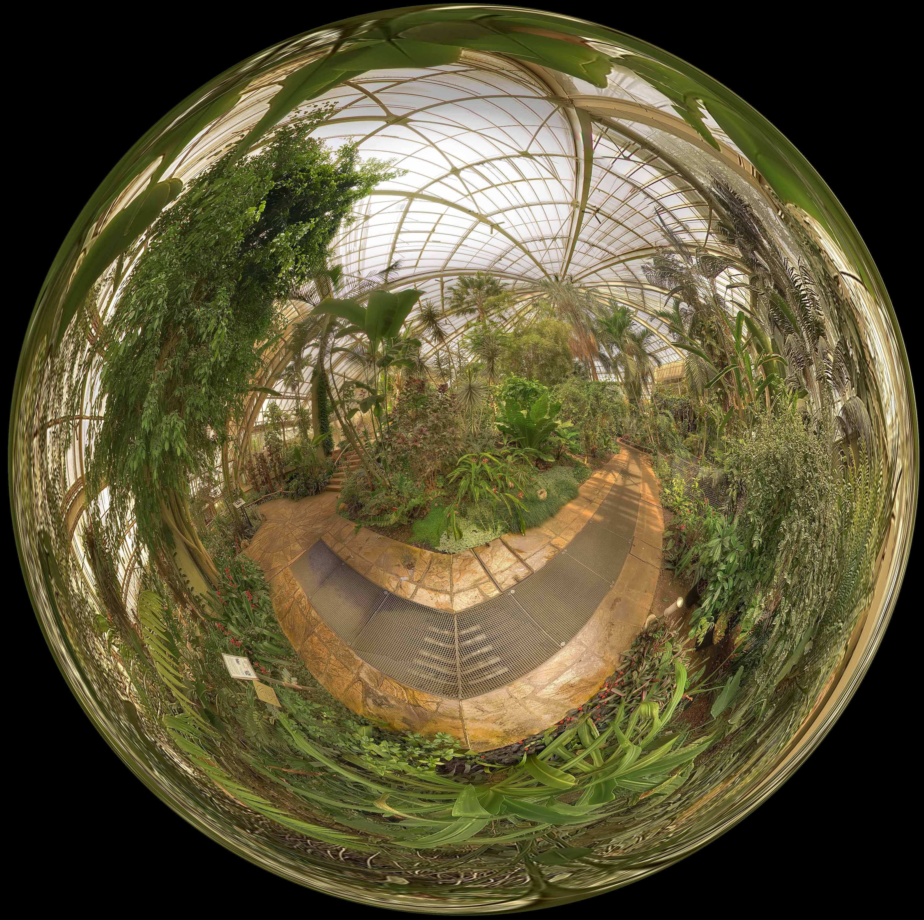 pano serre phoenix hdr